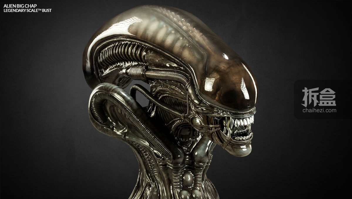 sideshow-alien-bust-007