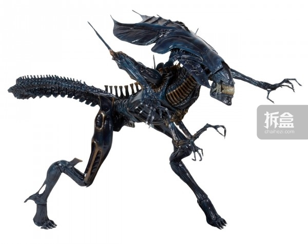 异形35周年neca将发售异形女皇