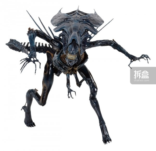 异形35周年neca将发售异形女皇