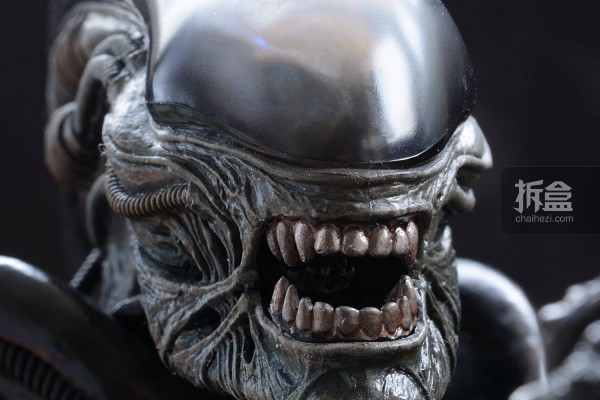老物欣赏hottoys异形1979版异形bigchapalien