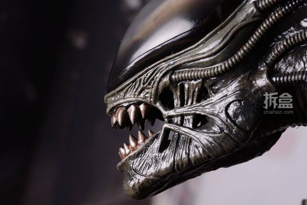 老物欣赏hottoys异形1979版异形bigchapalien