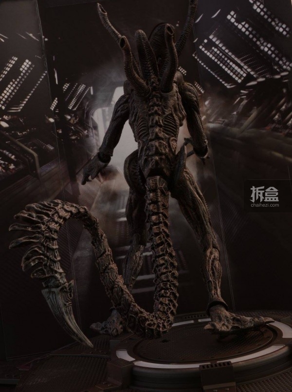 老物欣赏hottoys异形大战铁血战士gridalien绿格子异形